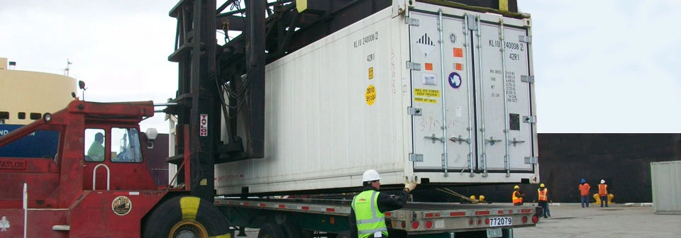 Refrigerated reefer container unit